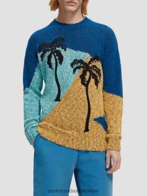 Scotch & Soda Türkiye | Scotch & Soda Renk-blok sanat mürettebatı sweater erkekler F4B4N655 çok palmtrees